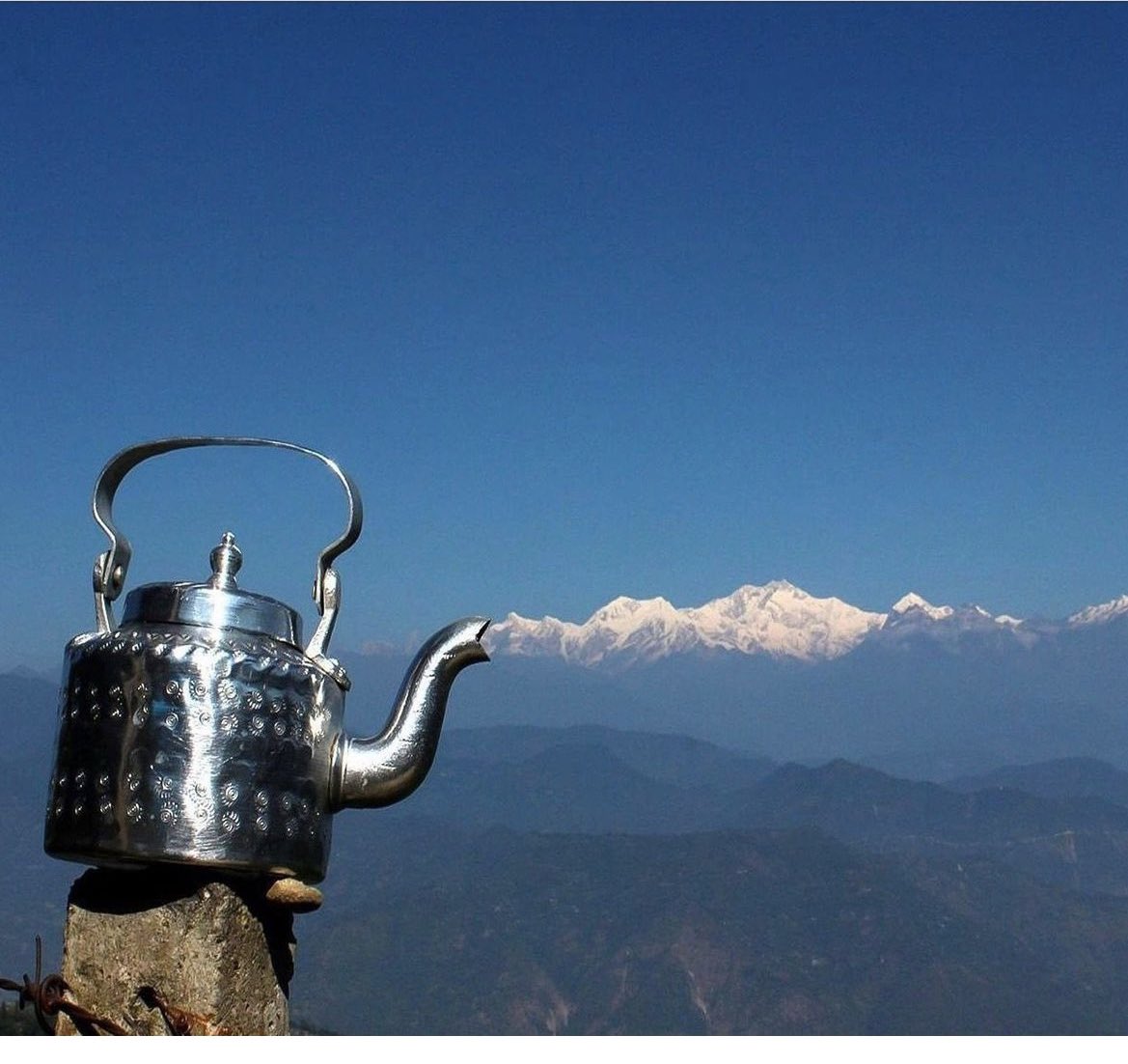 Здається, нам всім вже давно потрібно міністерство не твоїх собачих справ