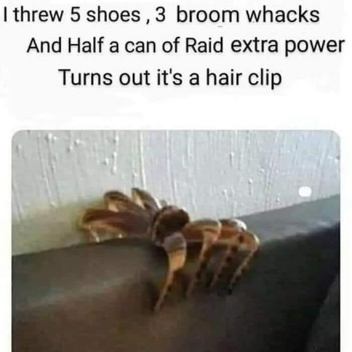 Spill The Memes (@spillthememes) on Twitter photo 