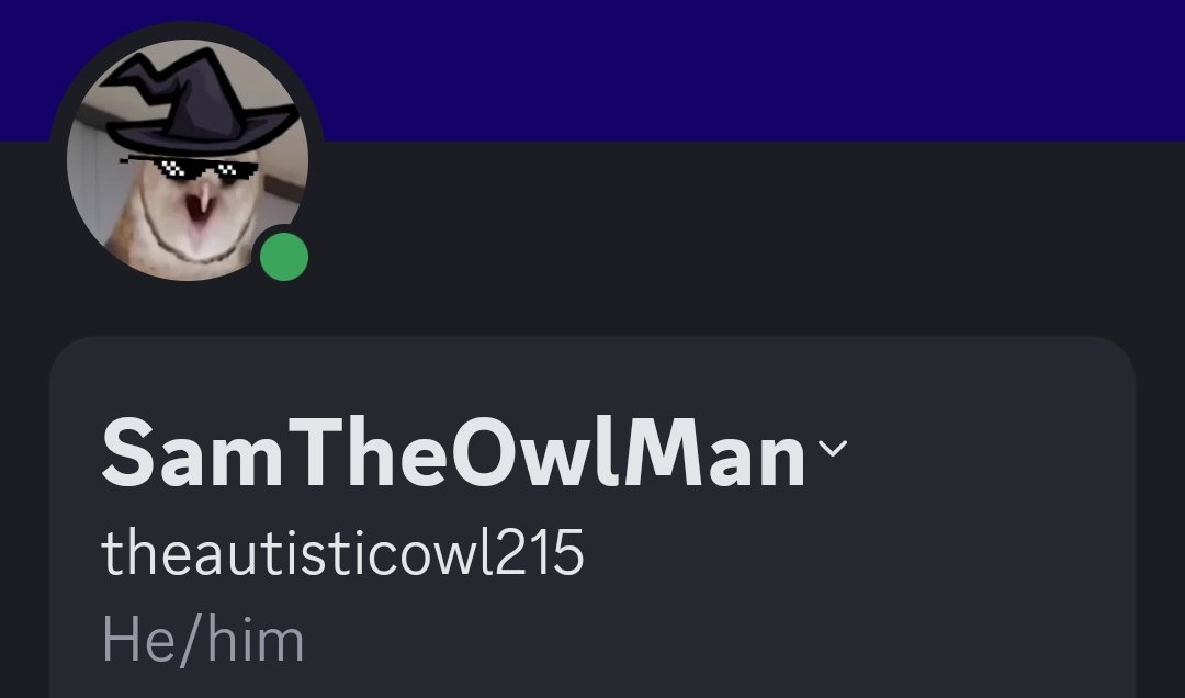 🟦🦋Sam.Kay🟦🦋(on Bluesky!) tweet media