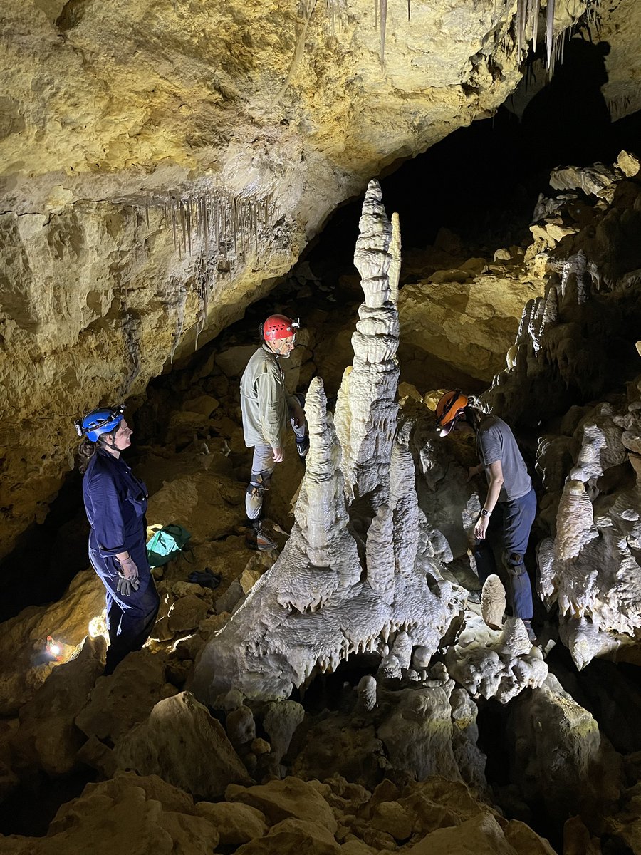 It was great spending time underground yesterday at #NaracoorteCaves planning some exciting new research.
