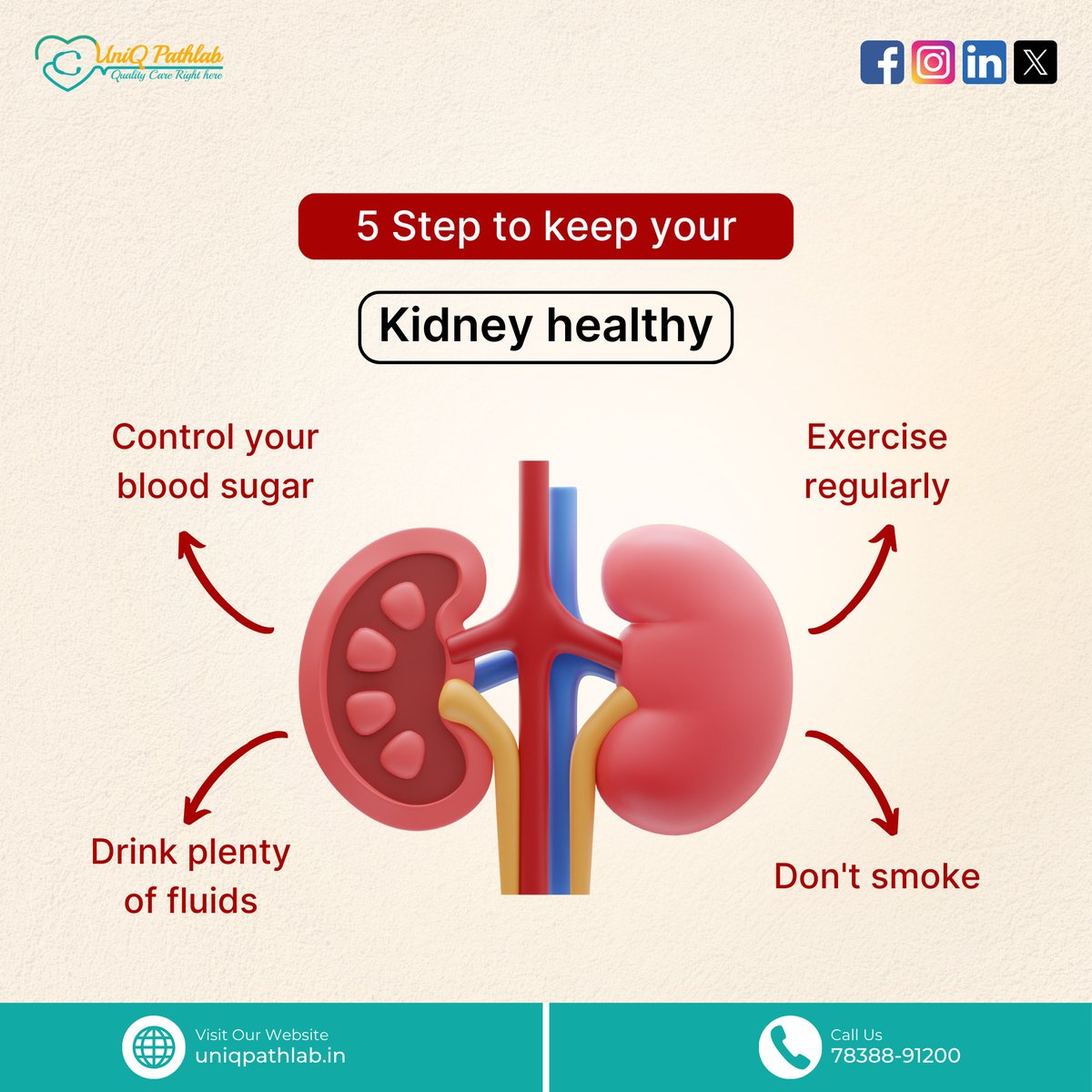 uniqpathlab's tweet photo. Protect your kidneys, and safeguard your future!๐ก๏ธEmbrace these 5 habits for optimal kidney health: manage blood sugar, stay active, nourish with good food, hydrate well, and steer clear of smoking...#UniqPathlab #PathologyLab #AdvancedTechnology #AccurateDiagnosis #NABL https://t.co/Qi8S2quoZm