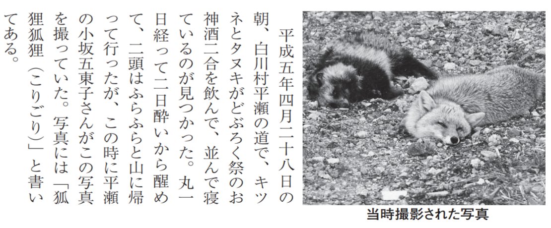 True story: In 1993, a tanuki and a fox snuck into a doburoku