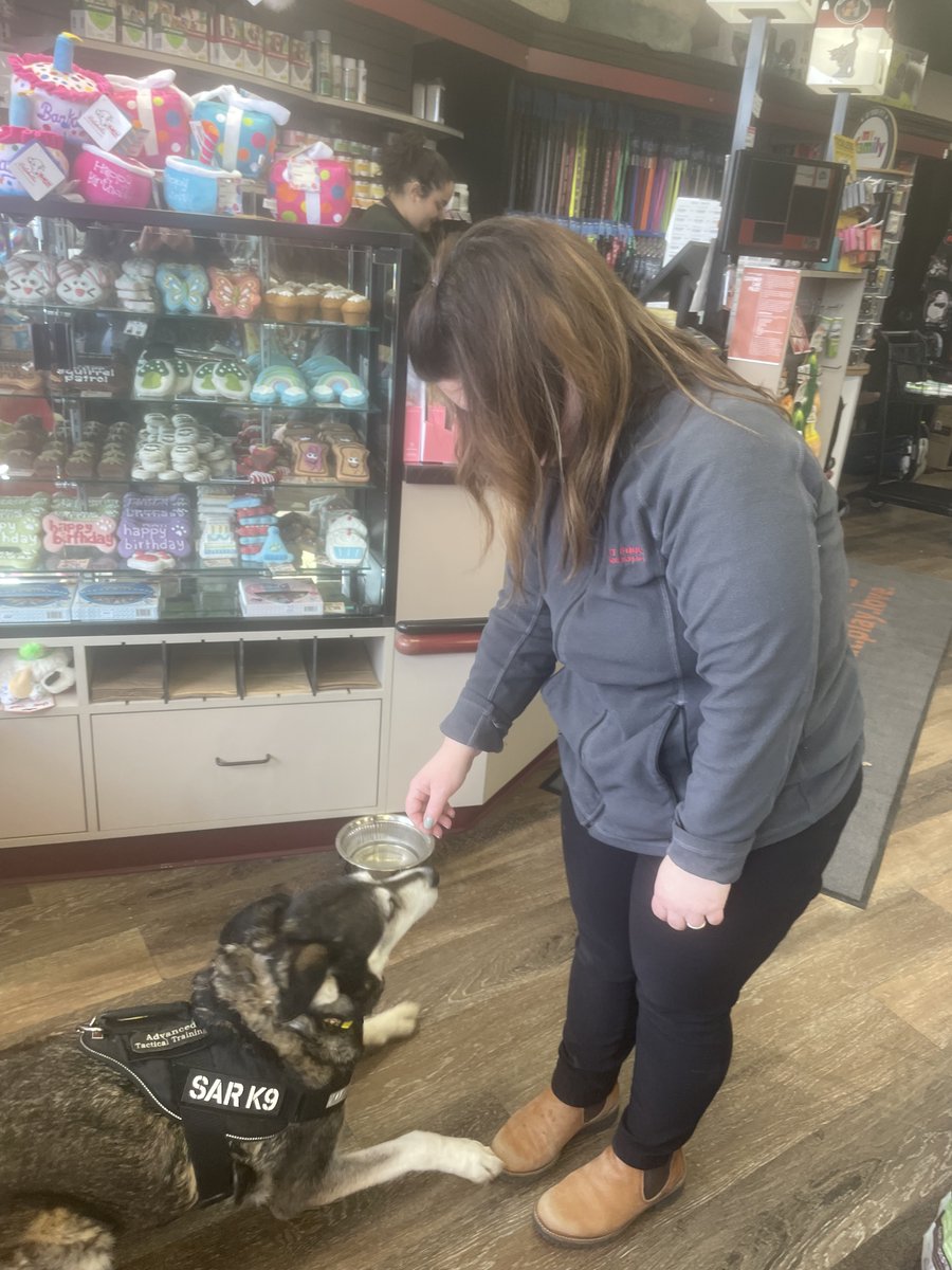 ATT_SAR's tweet photo. Sheba Retires!
After 11 years of service to communities throughout North America, she is finally retiring.
CTV news did a short article on her, honouring the years they have covered her service to the communities she helped families in.https://t.co/ybvpSgp73m https://t.co/hpJmjZvKM4