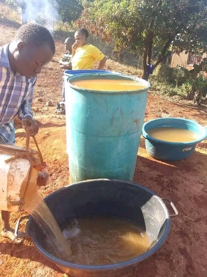 MDNnewss's tweet photo. Meet vhonani mulovhedzi a man who reside in Limpopo-Mukumbani village.

He digs up a 14 metre long borehole using shovels and pickaxes as he was suffering from lack of water.

Now he is using this water to irrigate his plants and he also offers free water to his villagers as there is water crisis in Mukumbani village.