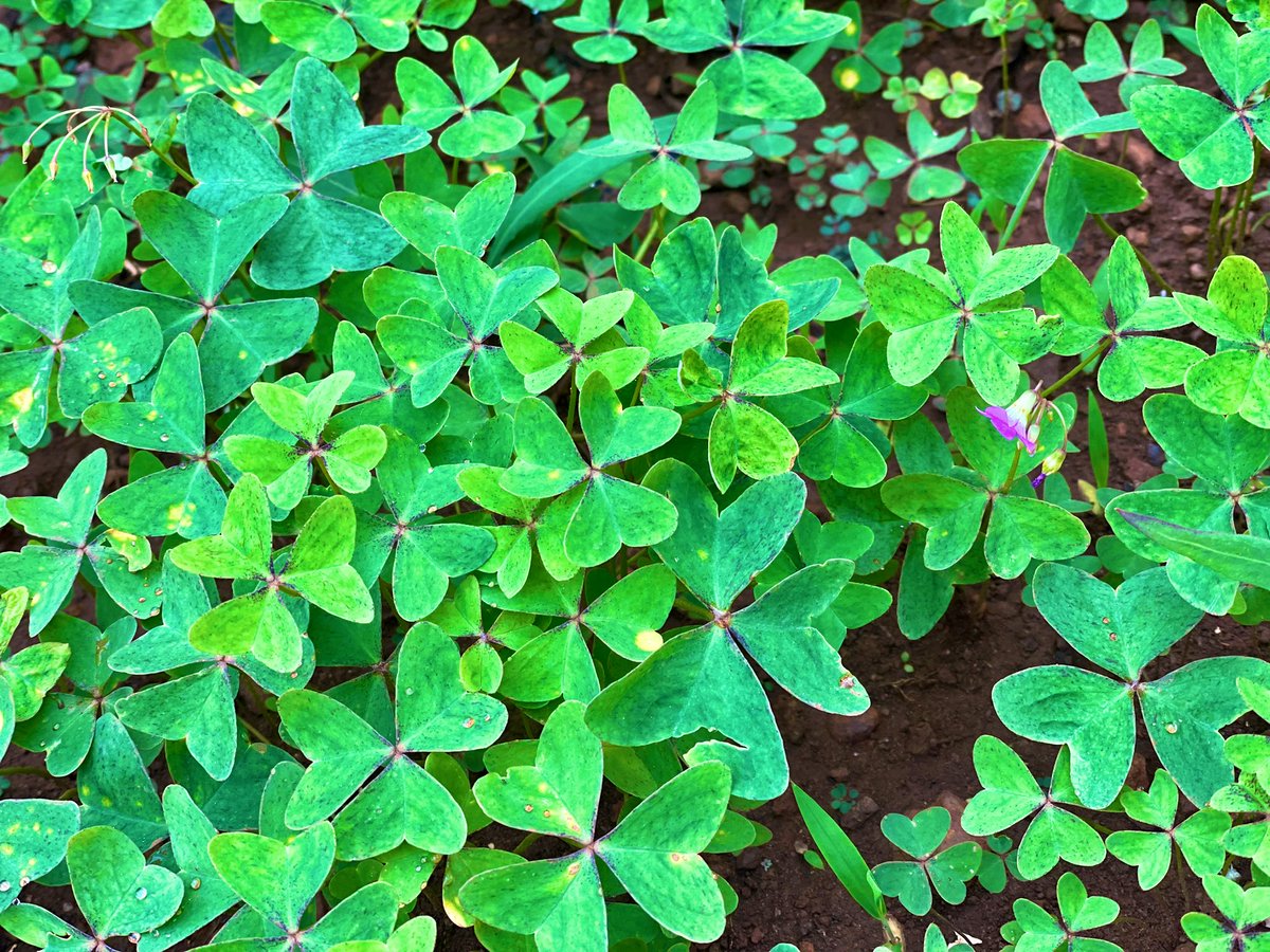 The sweet of our time🤗🤗🤗

Gd morning good people may u have a blessed Tuesday 🙏🙏🙏