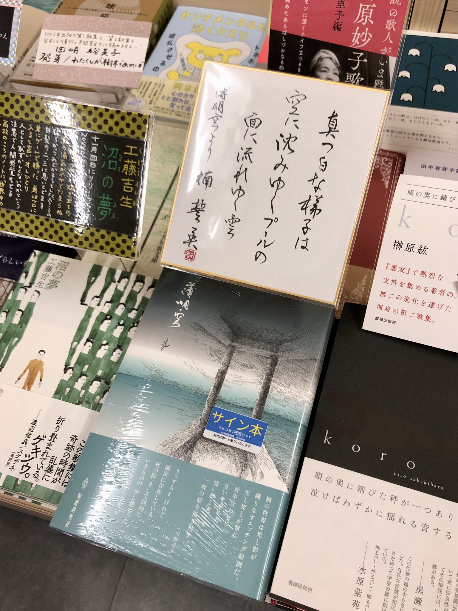 【中古】 「詳解」日本文学史 ３訂版/桐原書店/犬養廉 中古】 「詳解」日本文学史 3訂版/桐原書店/犬養廉