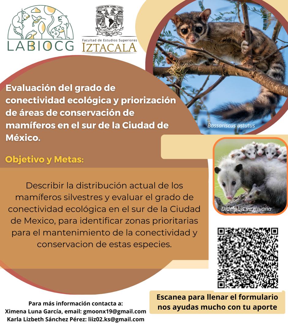 VecinosNocturno's tweet photo. ¿Vives en la CDMX y llegaste a ver fauna silvestre por tu colonia? Te invitamos a responder el siguiente formulario.

El Laboratorio de Biodiversidad y Cambio Global busca conocer el estado de conservación de las poblaciones del cacomixtle de la ciudad.

https://t.co/4DSzQlECDB https://t.co/JVOrG341yd