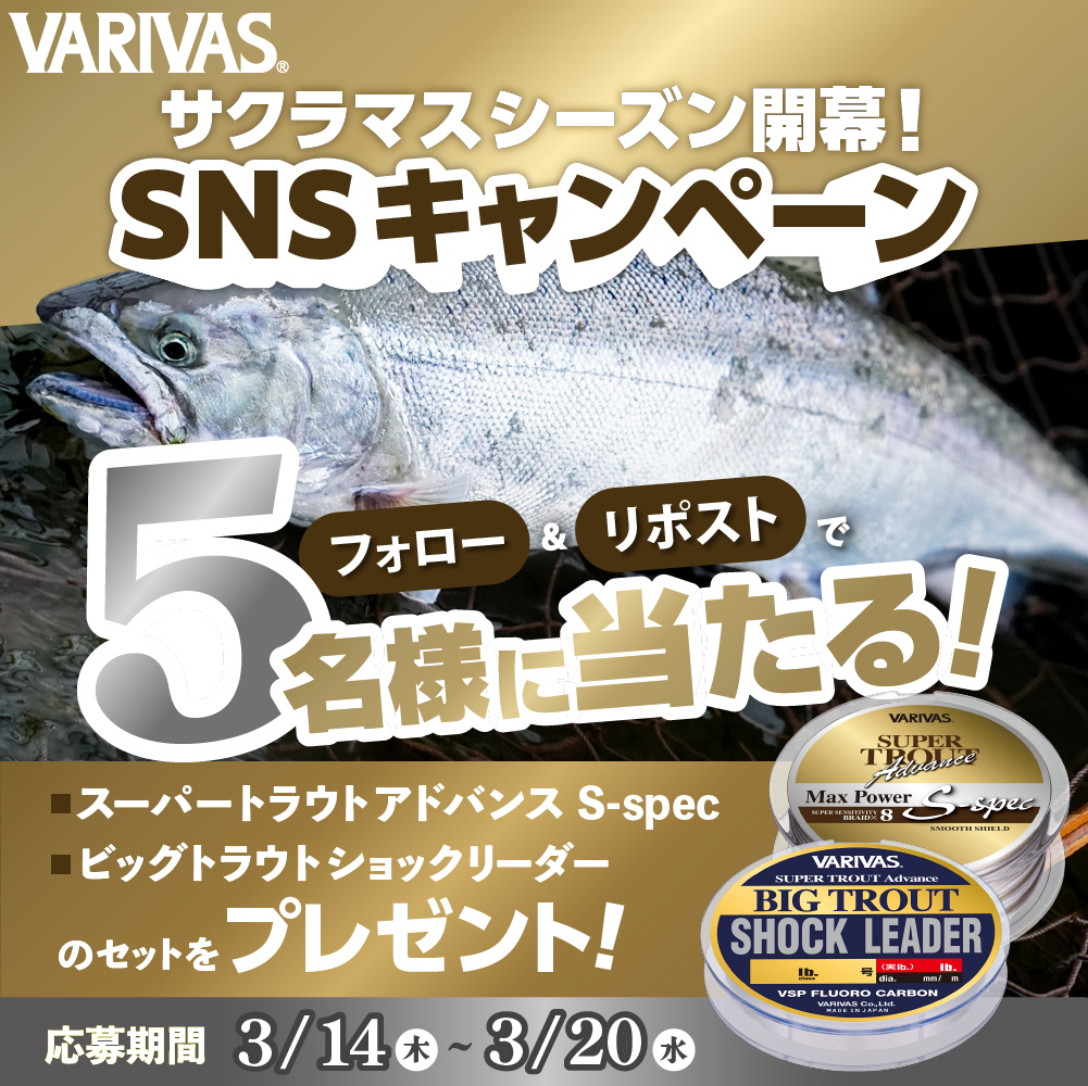 「フォロー＆リポスト」で当たる‼️ 
サクラマスシーズン開幕！SNSキャンペーンを開催

サクラマスシーズンだけでなく、これからの湖のレイクトラウトシーズンにもピッタリの商品をご用意。

沢山のご応募お待ちしております！

 ■製品情報はコチラ 
varivas.co.jp/Product/search…