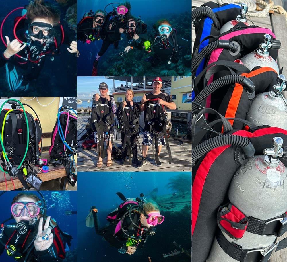 Which color SubGravity Paragon Single Tank Package do you need? Customize yours here- sub-gravity.com/product/parago…

 #techdiving #readyforanything #scubadiving #subgravity #scuba #scubalife #techdiver #scubagear #customized