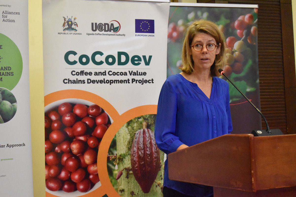 UCDA, in partnership with @ITCnews & @UCF_UG, has convened coffee stakeholders to validate the National Action Plan for compliance with the Corporate Sustainability Due Diligence Directive (CS3D) & EU regulations on deforestation-free products (EUDR) in the coffee value chain.