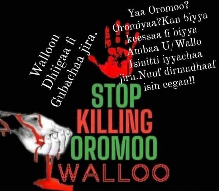 𝑾𝒂𝒍𝒂𝒂𝒃𝒖𝒖 (@owalaabuu77632) on Twitter photo Be Voice for the Voiceless!
#Walloo
The intensifying genocidal war against Oromos in Walloo involves a coordinated effort b/n z Ethiopian army & Fano.
STOP SYSTEMATIC ETHNIC CLEANSING OF OROMOS!
<a href="/amnesty/">Amnesty International</a> <a href="/eu_eeas/">European External Action Service - EEAS 🇪🇺</a> <a href="/hrw/">Human Rights Watch</a> <a href="/StateDept/">Department of State</a> <a href="/UN_HRC/">UN Human Rights Council</a> <a href="/AP/">The Associated Press</a> <a href="/UNOSAPG/">UN Genocide Prevention</a> <a href="/Reuters/">Reuters</a>
#OromoHolocaust Be Voice for the Voiceless!
#Walloo
The intensifying genocidal war against Oromos in Walloo involves a coordinated effort b/n z Ethiopian army & Fano.
STOP SYSTEMATIC ETHNIC CLEANSING OF OROMOS!
<a href="/amnesty/">Amnesty International</a> <a href="/eu_eeas/">European External Action Service - EEAS 🇪🇺</a> <a href="/hrw/">Human Rights Watch</a> <a href="/StateDept/">Department of State</a> <a href="/UN_HRC/">UN Human Rights Council</a> <a href="/AP/">The Associated Press</a> <a href="/UNOSAPG/">UN Genocide Prevention</a> <a href="/Reuters/">Reuters</a>
#OromoHolocaust