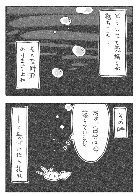 季節の変わり目、気圧も不安定で落ち込みやすい季節ですね。

私の落ち込み対策です。
どなたかの参考になれば…

(1/3) 