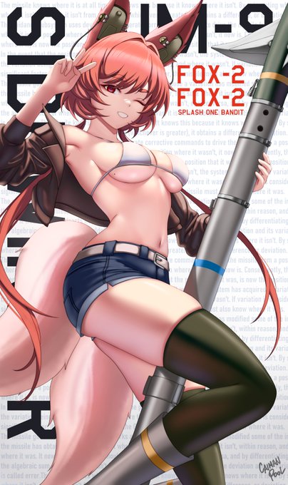 🦊⚠Fox 2! Fox 2! ⚠🦊 