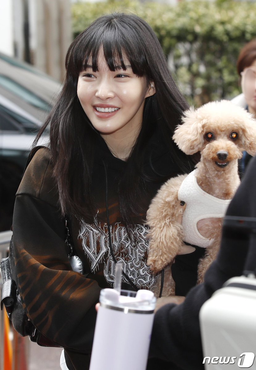 anyuzzn's tweet photo. what’s up with kpop idols having ugly ass dogs https://t.co/vT6lyg6CCk