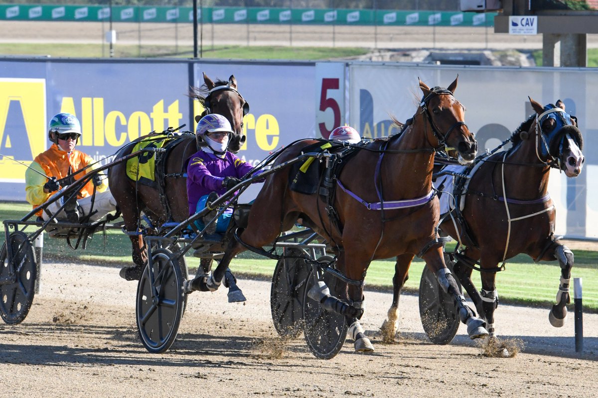 Club Menangle tweet media