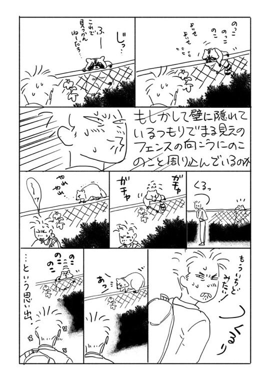 夫のアライグマエピソードあった(再掲) 