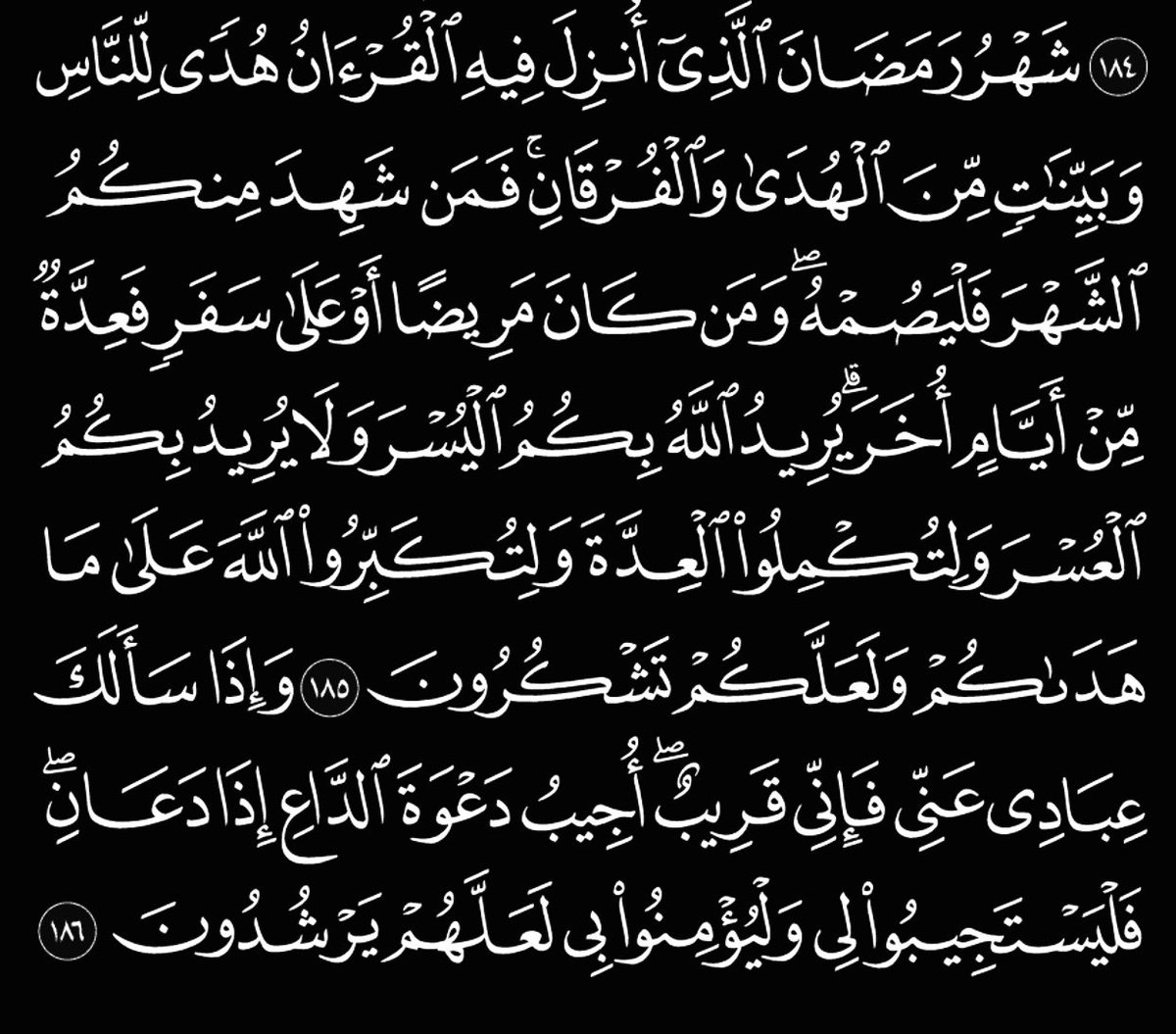 محمد ماجد المنهي (@m7mdmajedd) on Twitter photo 
