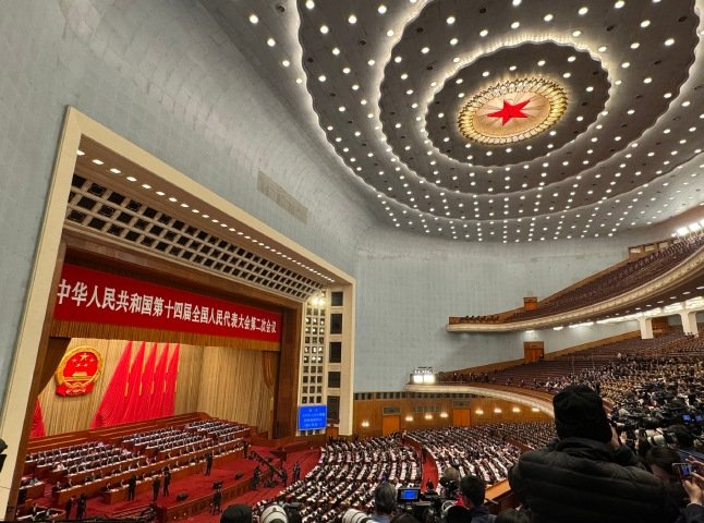 弹牙鱼丸🦷 tweet media