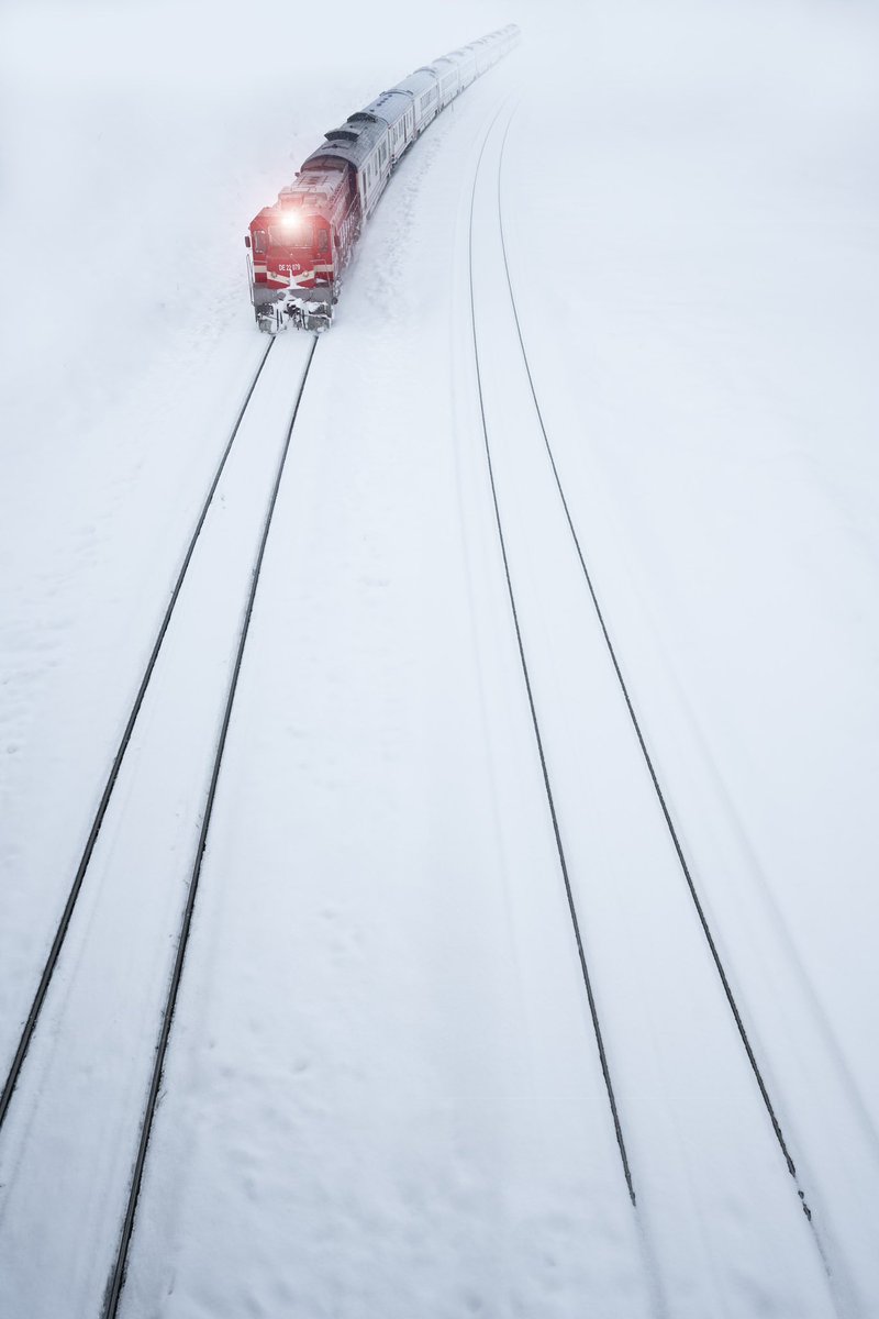 BeytullahEles tweet media