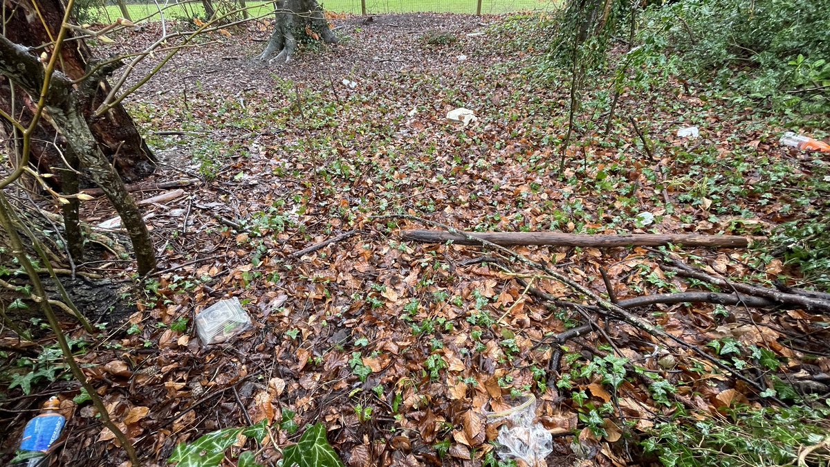 Mark T (@marklt2012) on Twitter photo Disused path along Chilbolton Av. Wouldn’t it be great to repurpose this as a walkable/cyclable path much like the one to the east of Westgate playing fields, <a href="/mpntod/">Martin Tod</a> @BrineMP <a href="/hantsconnect/">Hampshire County Council</a> @hantshighways <a href="/CycleWin/">Cycle Winchester</a> instead of a litter facility? Disused path along Chilbolton Av. Wouldn’t it be great to repurpose this as a walkable/cyclable path much like the one to the east of Westgate playing fields, <a href="/mpntod/">Martin Tod</a> @BrineMP <a href="/hantsconnect/">Hampshire County Council</a> @hantshighways <a href="/CycleWin/">Cycle Winchester</a> instead of a litter facility?