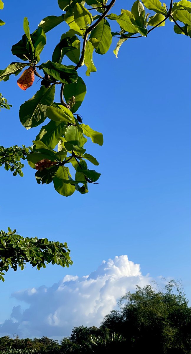 epintadorm's tweet photo. Just my beautiful morning 😀 #mymorning #walkingrunning🏃‍♀️ #mybluesky #happyday #goodday #lovelyclouds https://t.co/u1p8QcWHnl