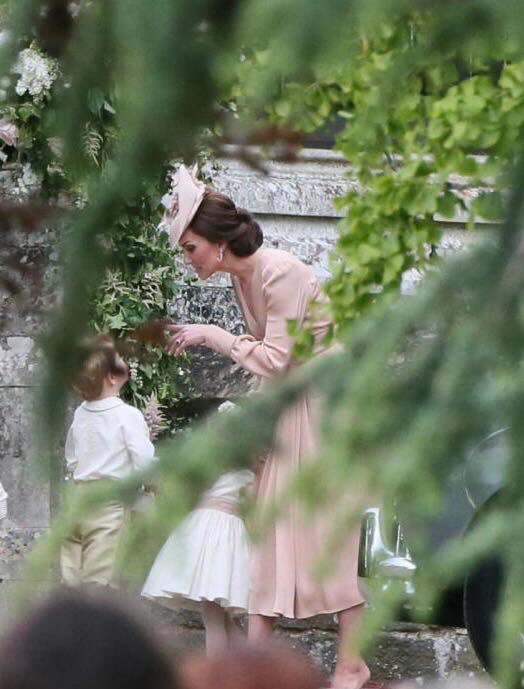 "I told you to use fucking Adobe, not that cheap online shit"