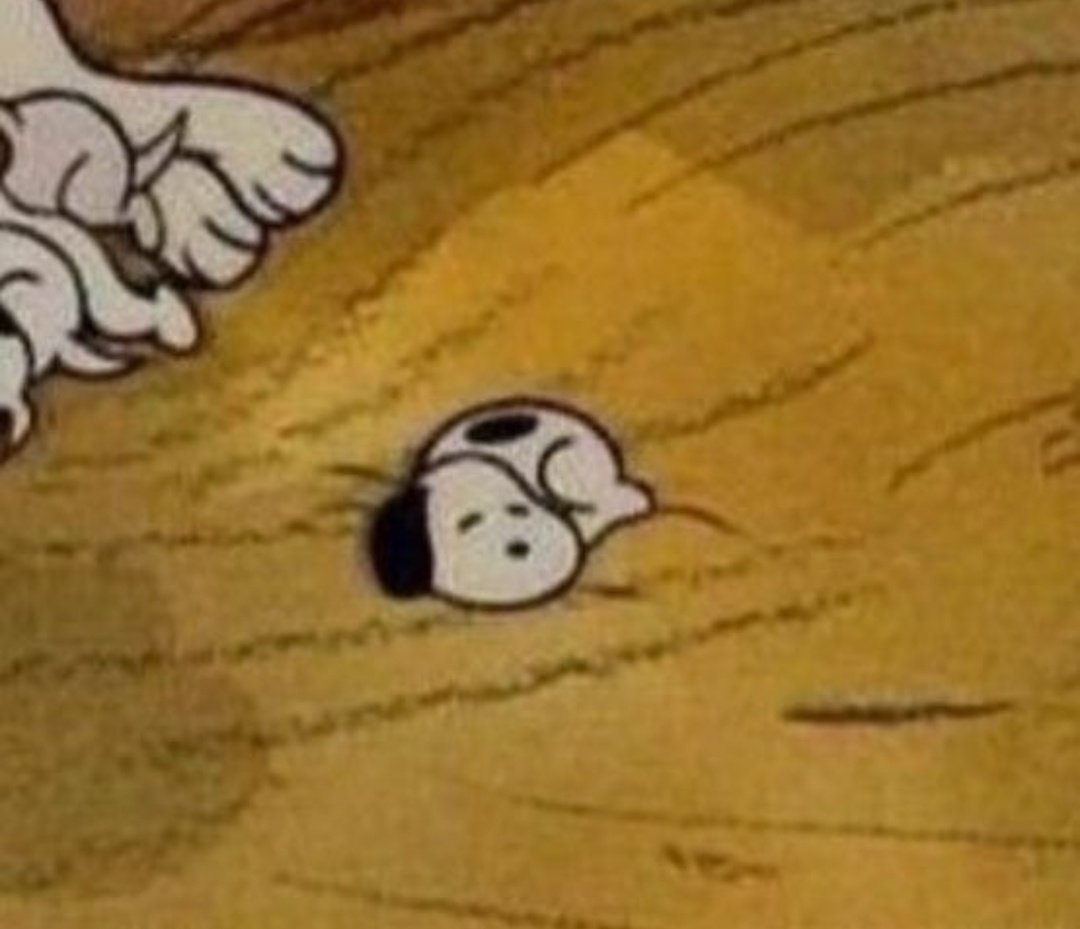 もふもふ動画 tweet media