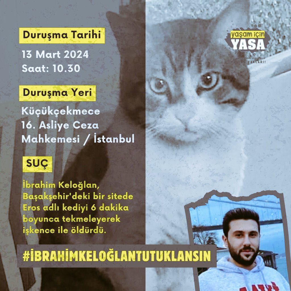 İstanbul’daki hayvanseverlere duyurulur!
Hasta olmasam buradan kalkıp gidecektim, o kadar önemli ki! 
#ibrahimkeloğlanTUTUKLANSIN