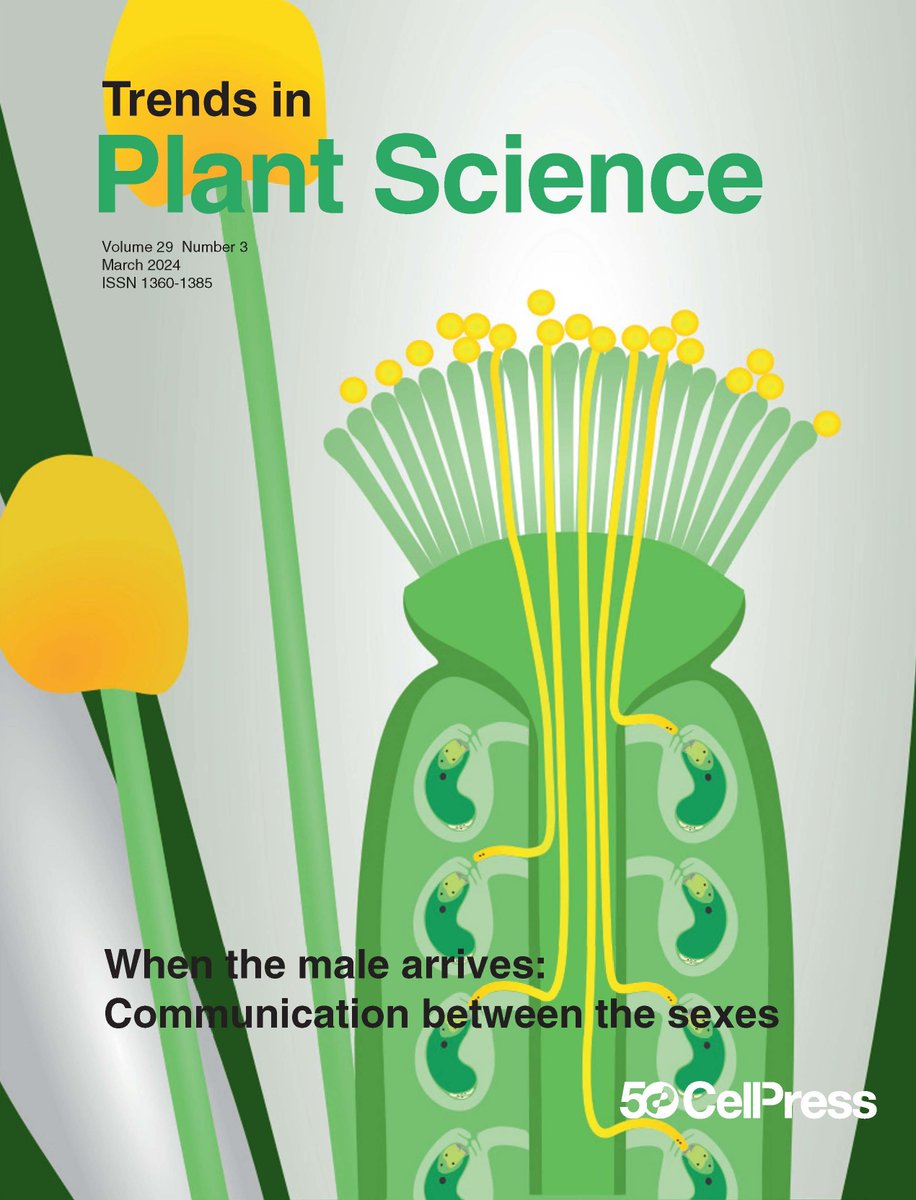 Mar Issue. Read FREE:Signalling between the sexes during pollen tube reception (see cover);Strategies for breeding crops for future environments;A concept of quantitative abiotic stress sensing; Microalgae:novel protein for sustainable human nutrition&amp;more cell.com/trends/plant-s…