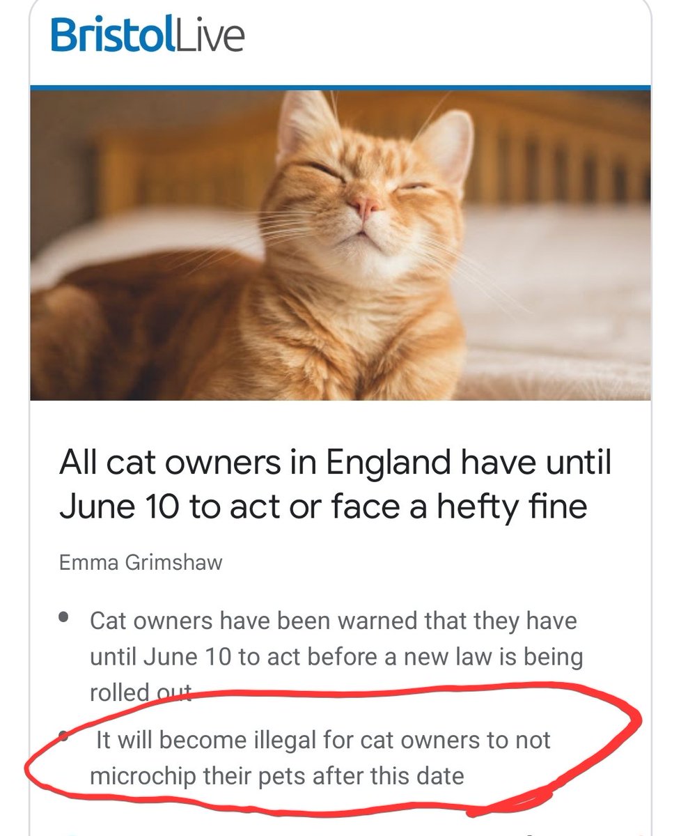 cryptel0509's tweet photo. Ffs they even going after the cats now🤦‍♂️🤦‍♂️ #JustF**kOff!!!

#Donotcomply #matrix #Haiti #Ukraine #Oscars #elites #vax #microchip #crypto #andrewtate #BillGates https://t.co/yY64OYkZ7z