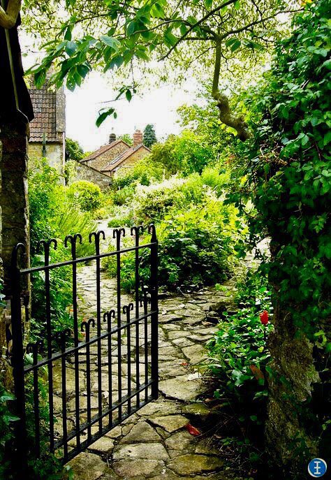 My third garden is the sort of garden I like best. It is a #cottage garden of the best sort, kept by a true #gardener. #gardening theguardian.com/lifeandstyle/2…