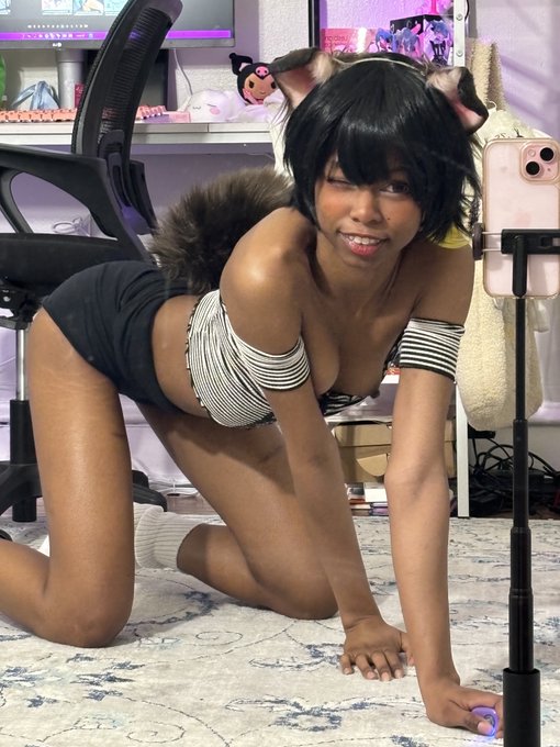1 pic. Tail Tuesday, grab her by the tail and and wear her like a sleeve~! ?? https://t.co/eiJ8uuwHH