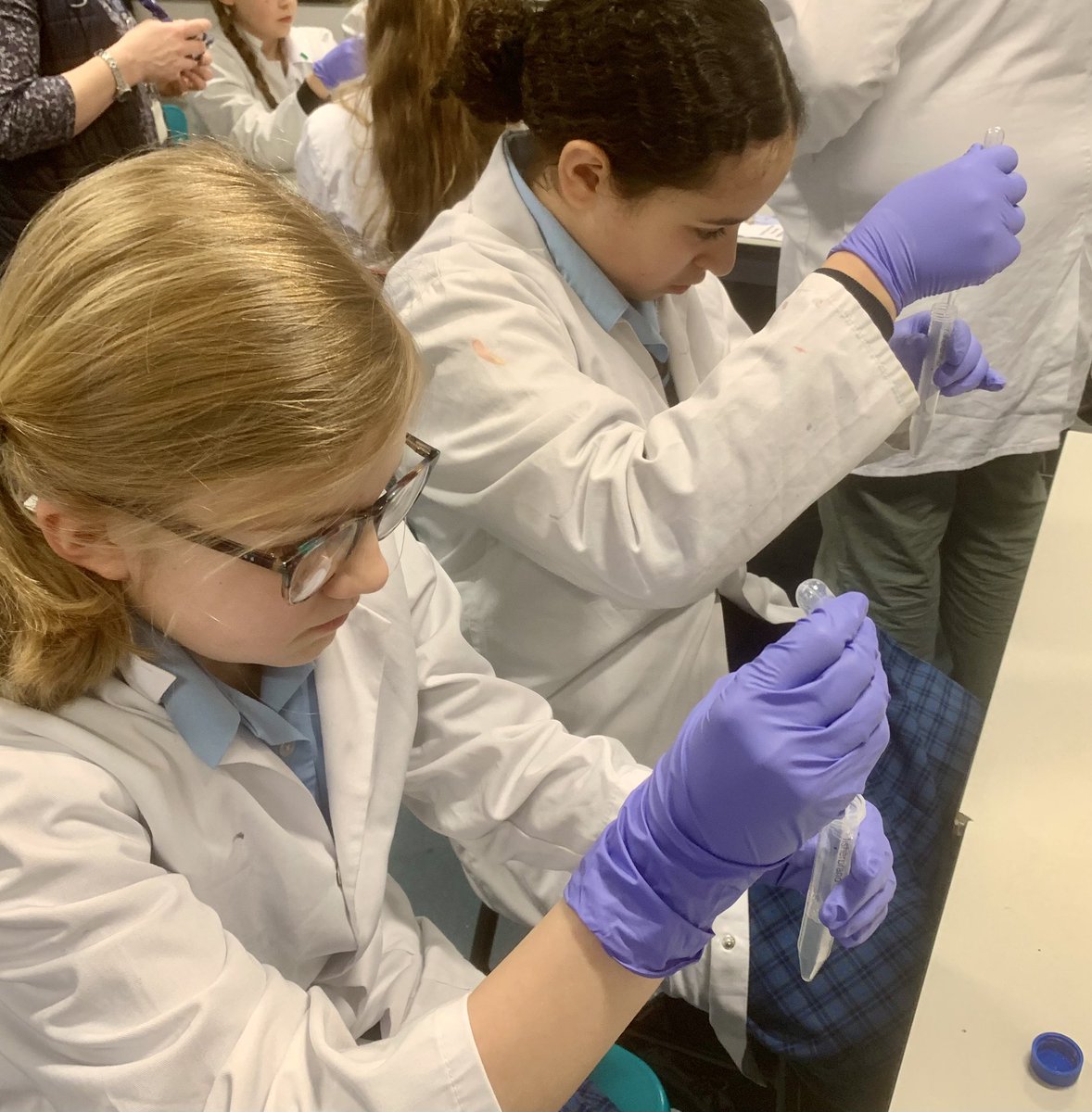 NGHS Junior School tweet media