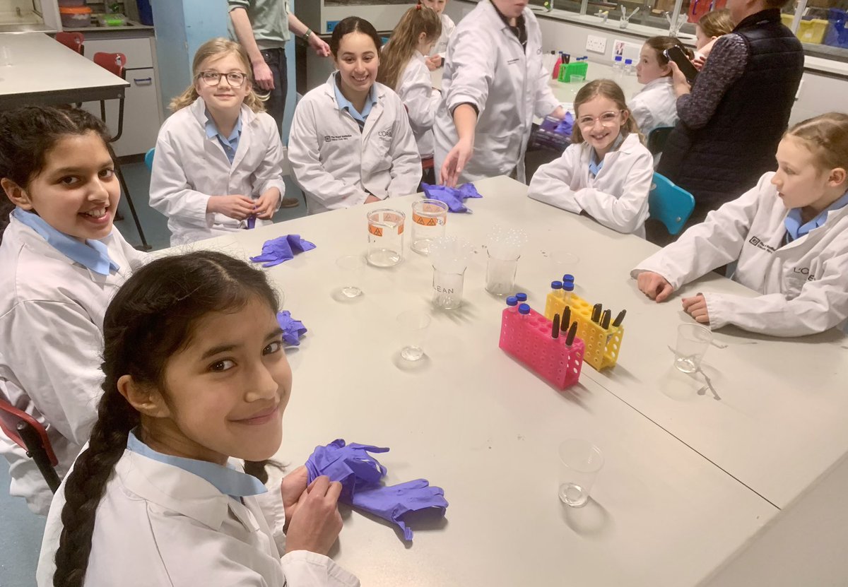 NGHS Junior School tweet media