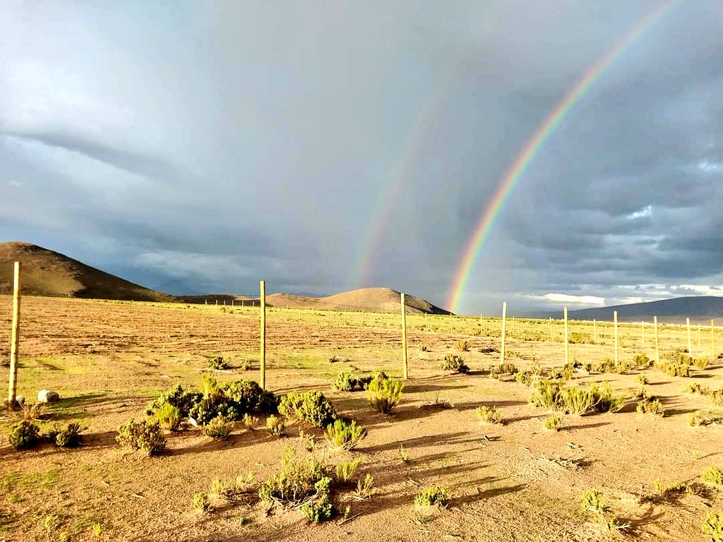 Ayer tuvimos un hermoso atardecer en el altiplano. 

#Colchane #Cariquima #Iquique