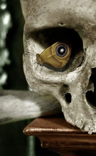 What is happening?

It´s definitely happening!

Isn´t that enough?
. . . . . . . . . . . . . . . . . . . . . . . . 

ሁጠል ጎክሀልነãዐ ነጎረቿክርጎዐነል
(👁️ UAP Manifest 📜)
      [🕳️🐇]
#uapmanifest #n0ne 🃏

1+1=∞ 

<a href="/DaimonDepth/">The Depth of the DAIMON</a>

 🌱💎

#One #journey of #reflection along