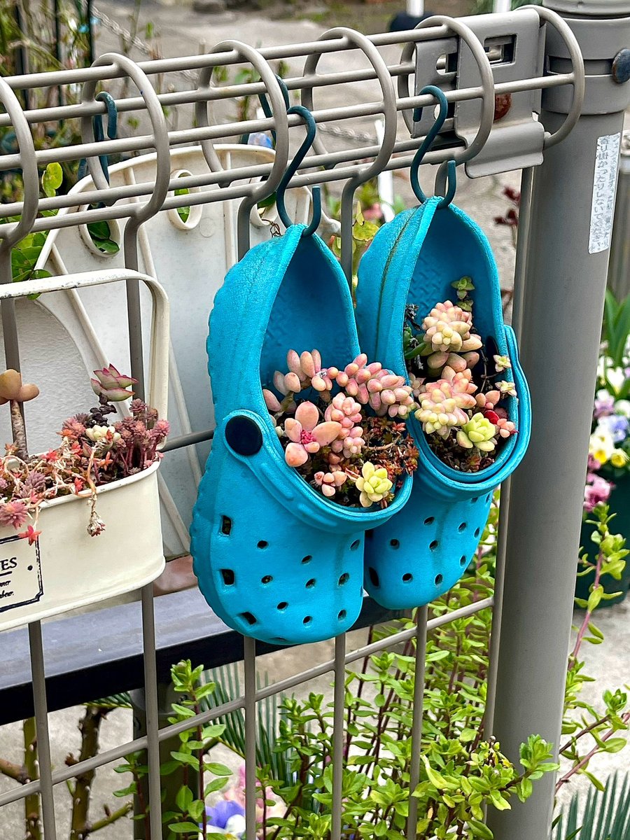 Demian_tweet's tweet image. 진짜 잘찍지 않았어요...?!?