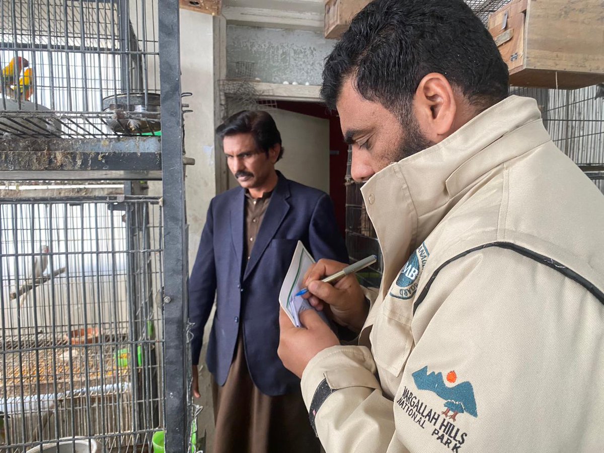 IWMB has begun inspections for Parakeet Ownership Registration in Islamabad Territory. Owners must register their birds to avoid penalties. Failure to comply may result in confiscation and fines.
