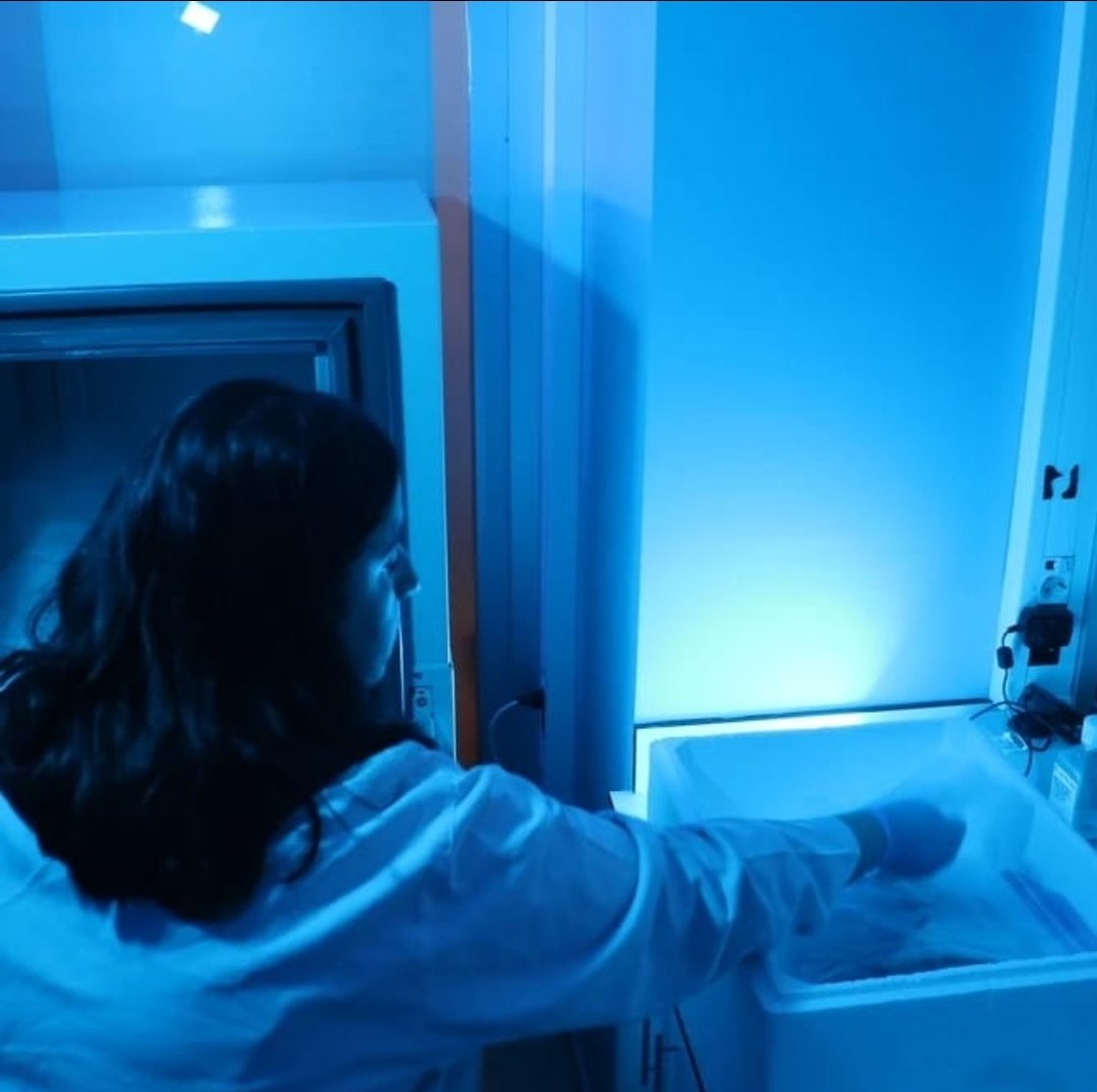 Message'ın örnekleri Üsküdar'da!

Türkiye’nin insanlı ilk uzay misyonunda yer alan 13 bilimsel araştırmasından biri olan MESSAGE (Microgravity Associated Genetics) deneyi kapsamında Türkiye’nin ilk astronotu Alper Gezeravcı’nın yer çekimsiz ortamda, uzayda alınan kan örnekleri 
+