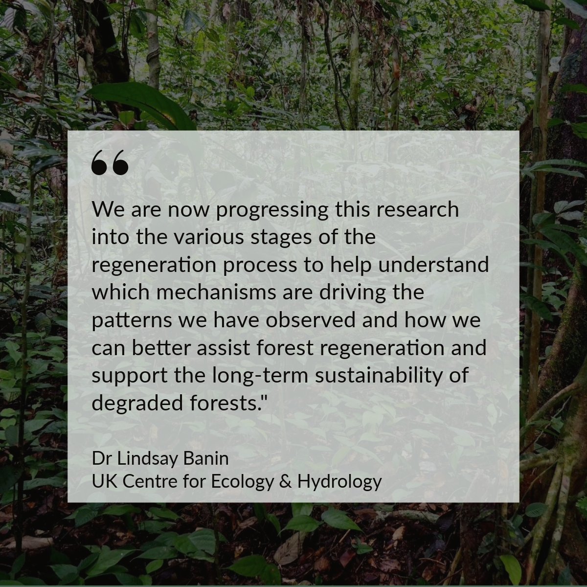 The paper is from @NERCscience PhD research by @CanopyRobin & @biobartholomew. UKCEH co-author Dr Lindsay Banin said the results reveal there may be bottlenecks in recovery of particular elements of the plant community. Read the @globalchangebio paper: onlinelibrary.wiley.com/doi/10.1111/gc…