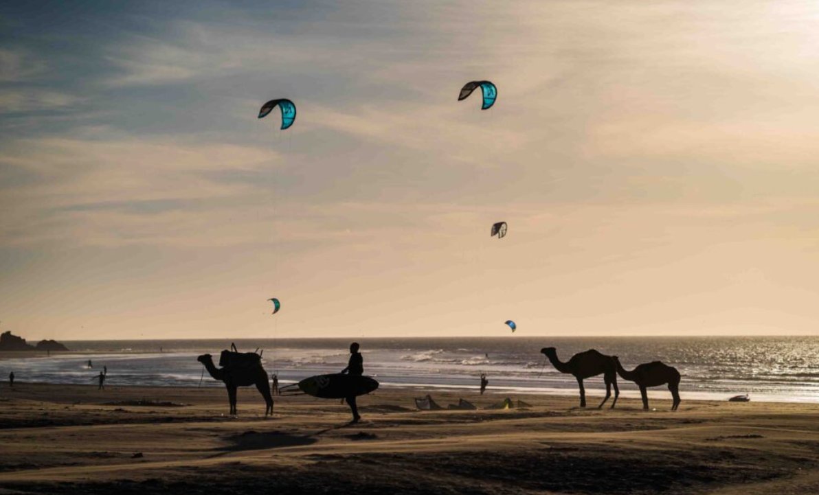 Oceansurfcamp's tweet photo. Dakhla : Kitesurf, Wingfoil, Windsurf, Surf et Yoga

À partir de 910 €* - 7 nuits en pension complète pour 2 personne
*En bungalow privé + Transferts aéroport + yoga quotidien
Clic ici pour ta session de rêve => https://t.co/TAUP2HFDIU https://t.co/6rwQGMxAvB