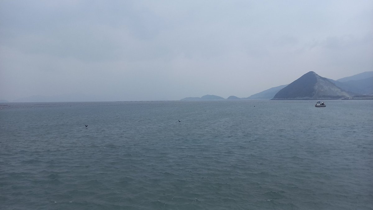 지난주는 속초.. 이번주는 완도..
아주 끝과 끝을 달리네 ㅋㅋㅋ