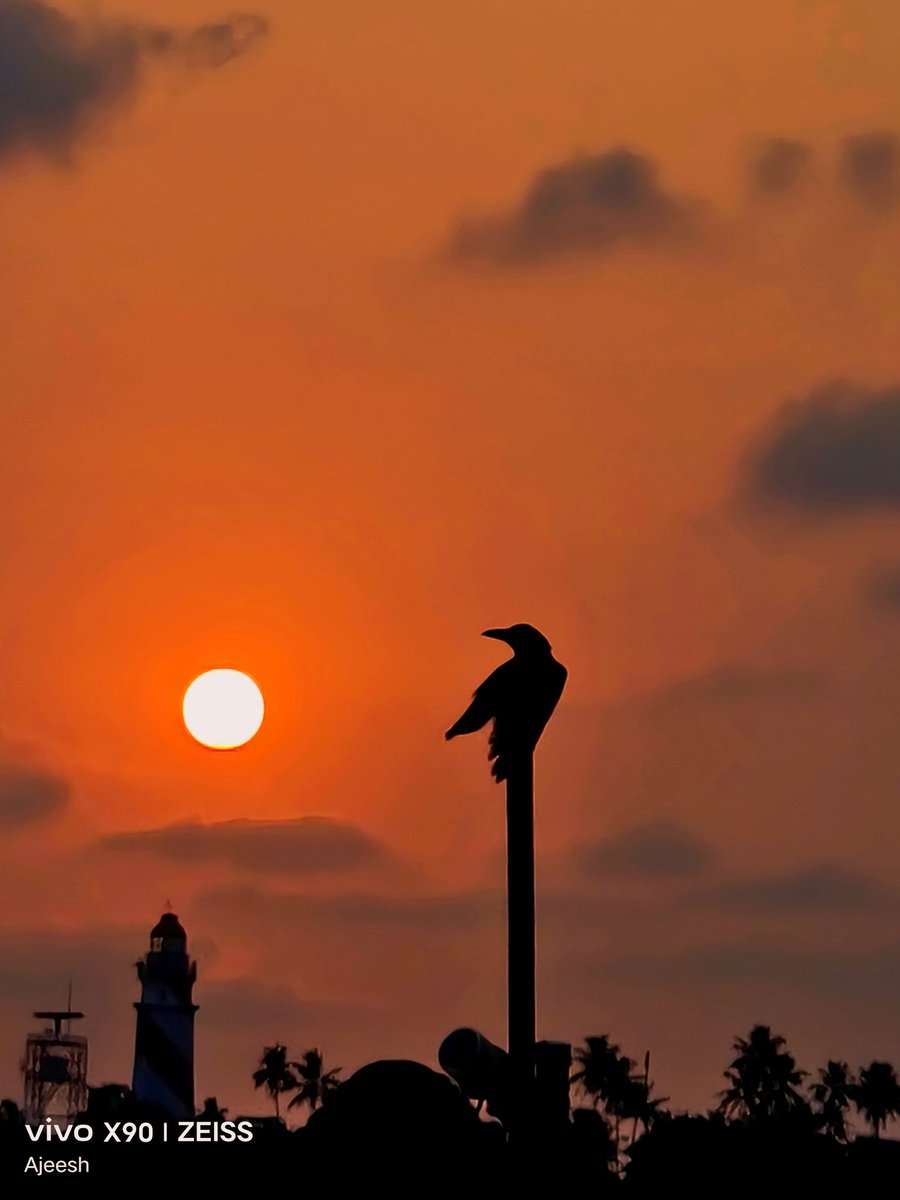 TheMacro1229153's tweet photo. Sunset
ShotonShotUsing @Vivo_India x90
#ShotOnVivo #X90Series
#vivoX100Series #XtremeImagination
#NextLevelOfImaging
@vivo_europe https://t.co/Pf6RAiVTmV
