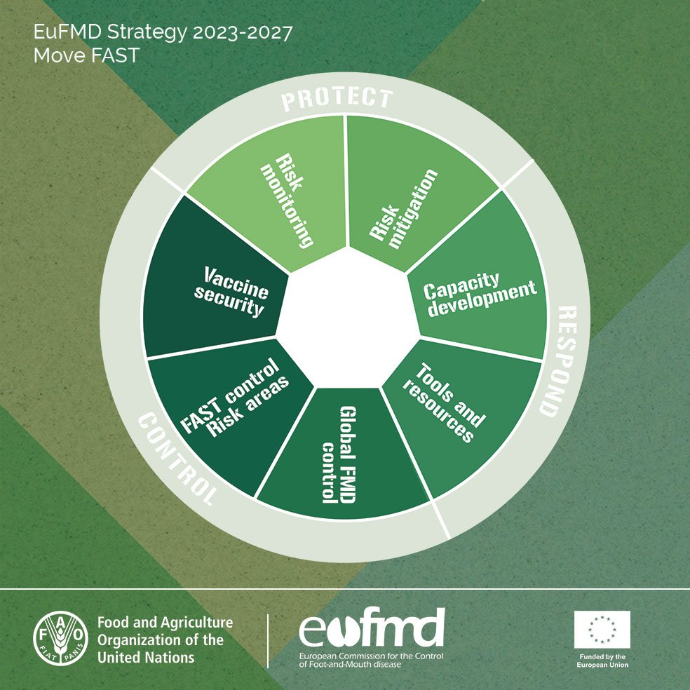 Eufmd's tweet image. 🧪💡 Assessment of contingency capacity is key to effective emergency response. 
The #EuFMD is assisting simulation exercises, involving #Veterinary Services, Laboratories, and the private sector. 
#MoveFAST strategy: fao.org/3/cc9047en/cc9…