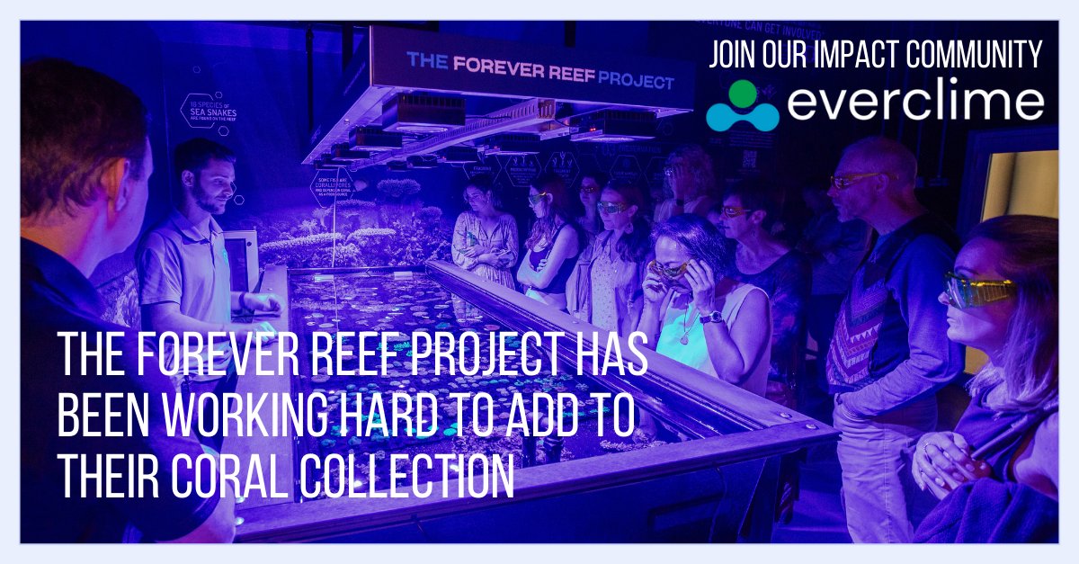 Everclime tweet media