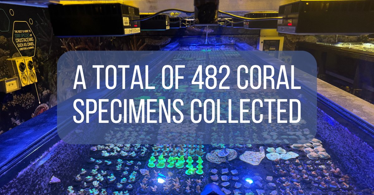 Everclime tweet media