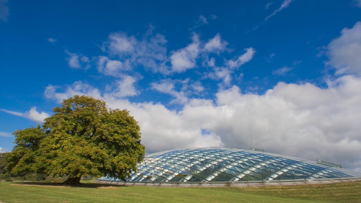 🥧🍊🍞 The Visit Pembrokeshire Team are looking forward to the Supplier to Buyer Event tomorrow!  Still time to register so you can come @walesbotanic for free with @Pembrokeshire 💚 forms.office.com/pages/response…
