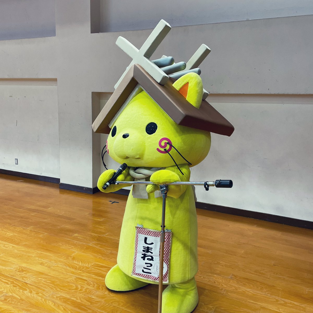 shimanekko_'s tweet image. 今日は、しまねっこのコンサートに
きてくれて本当にアリガトにゃ！
ラスト一曲盛り上がっていくにゃ🎤♪
にゃんてにゃ(っω`*)
#しまねっこ #コンサート #ごっこ 
#観客 #おねーさん #おにーさん