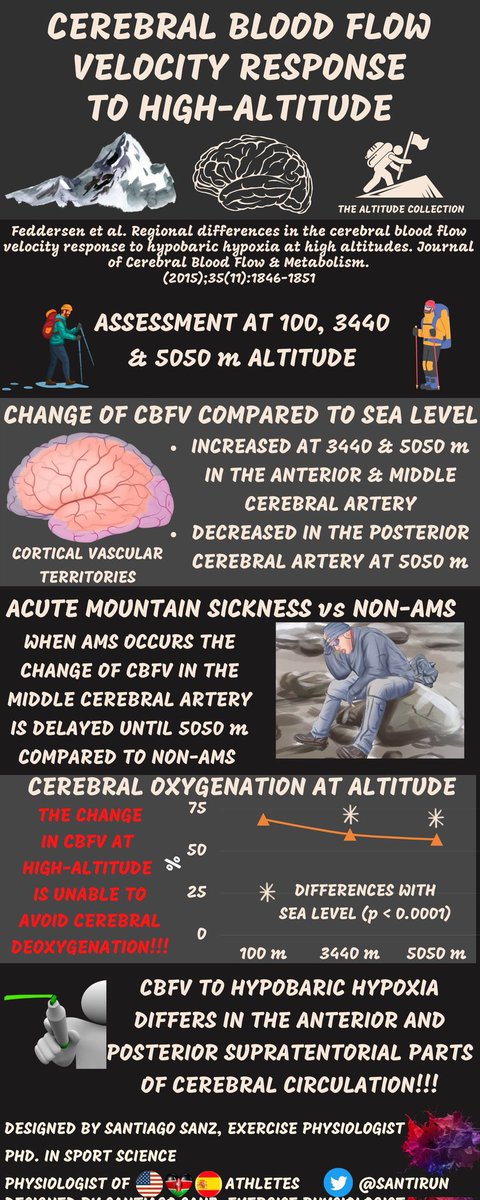 Why you should not train in the first 48-72 hours at ≥3400 m altitude? High altitude cerebral edema HACE might be triggered by posterior supratentorial Blood flow reduction... Check It out at the Altitude Collection #Infographics 🏔️

#Enviphysiol #altitude #cerebrovasculature