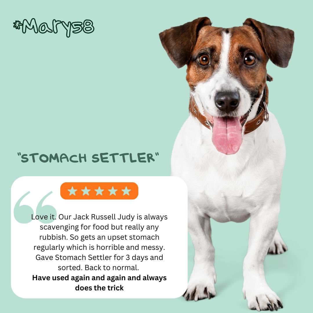 ExxPet's tweet photo. The cost of #vets is in the news today. 
PetExx Stomach Settler is a probiotic paste for upset tummies.
It costs just £12 for 15ml and pet parents love it! Plus FREE delivery. 
Get it at https://t.co/b0xWNE526E 

#dogs #vetcosts #vet #pets https://t.co/7SDohexMoL